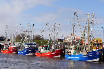 Moin von der Nordseeküste